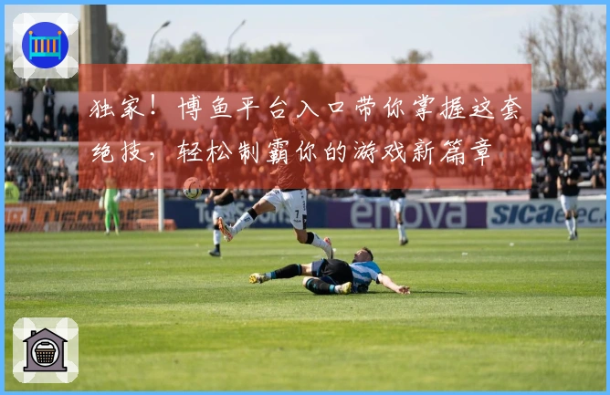 独家！博鱼平台入口带你掌握这套绝技，轻松制霸你的游戏新篇章