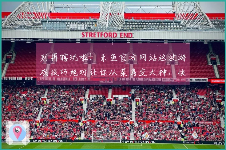 别再瞎玩啦！乐鱼官方网站这波游戏技巧绝对让你从菜鸟变大神，快来瞧瞧！
