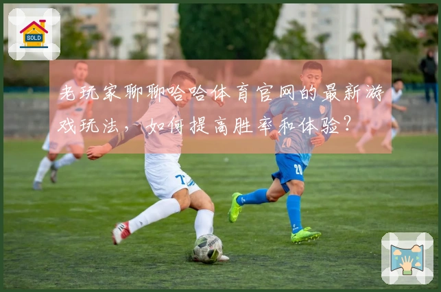 老玩家聊聊哈哈体育官网的最新游戏玩法，如何提高胜率和体验？
